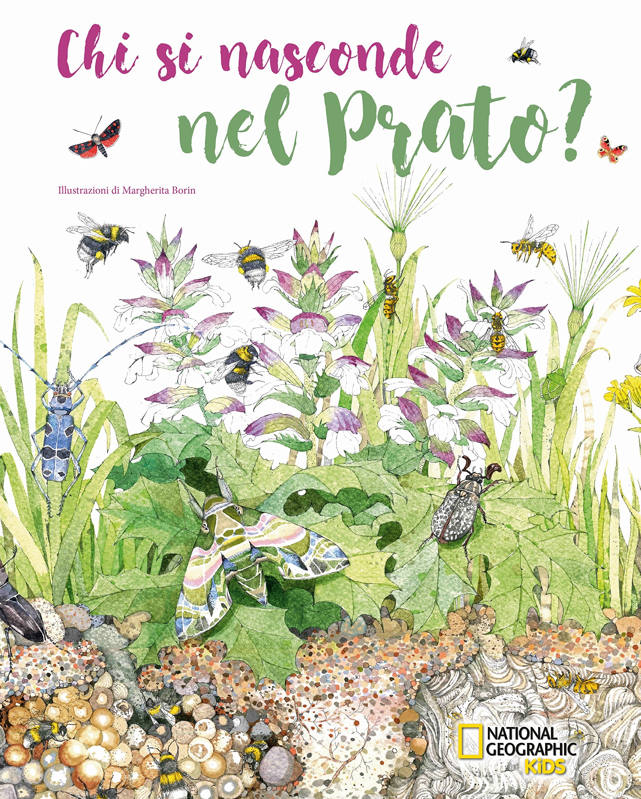 Chi si nasconde nel prato? (National Geographic Little Kids) Non-fiction