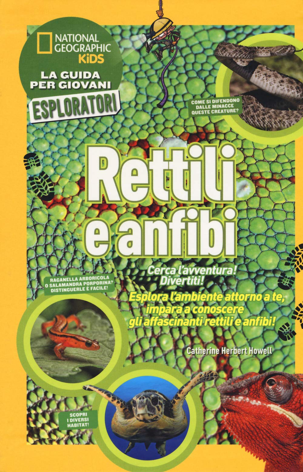 Rettili e anfibi. Cerca l'avventura! Divertiti! book