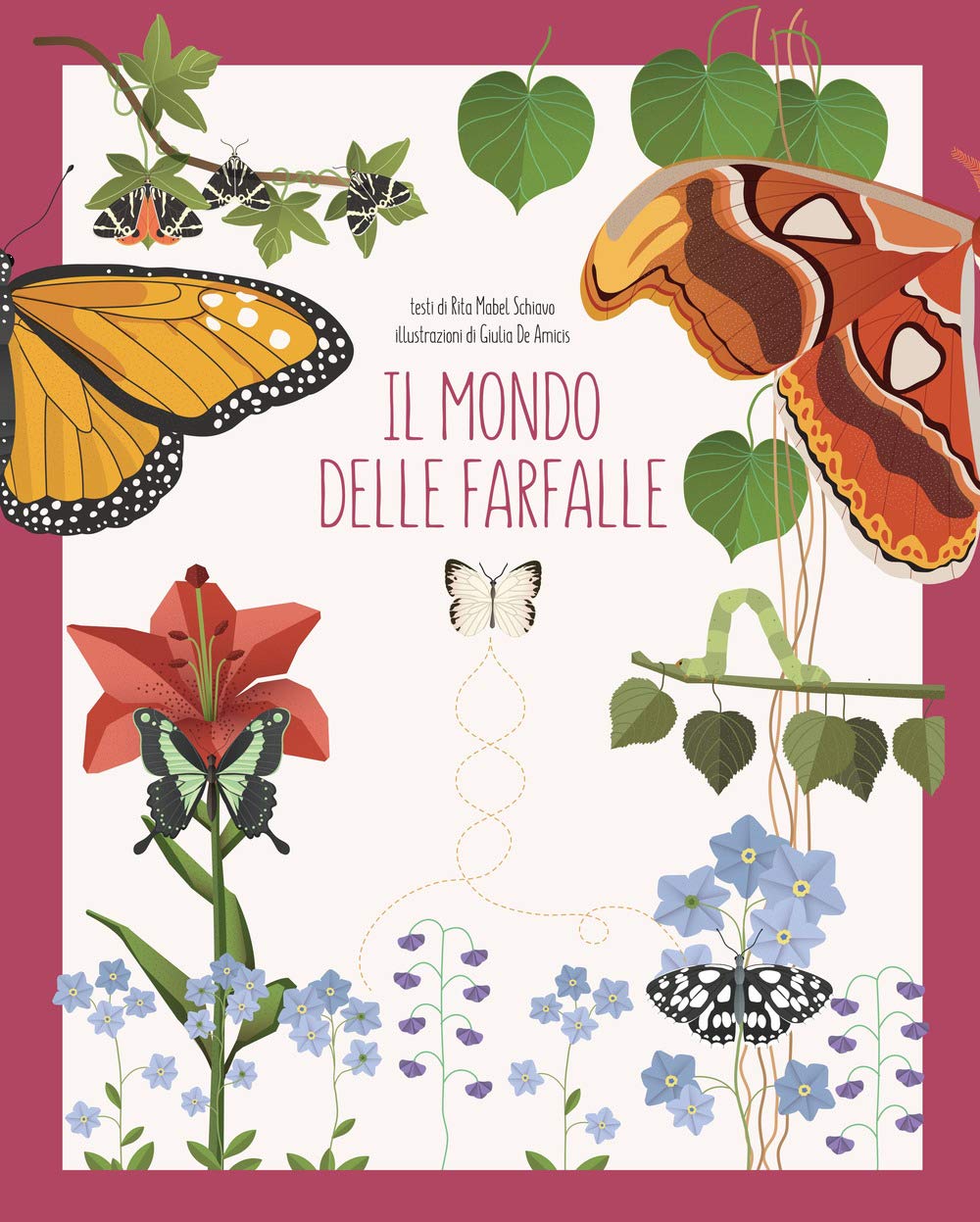 Il mondo delle farfalle. Ediz. a colori book
