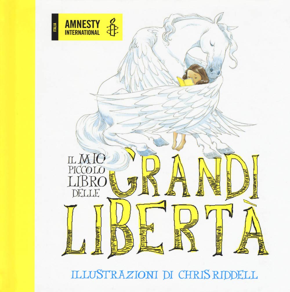 Il mio piccolo libro delle grandi libertà book