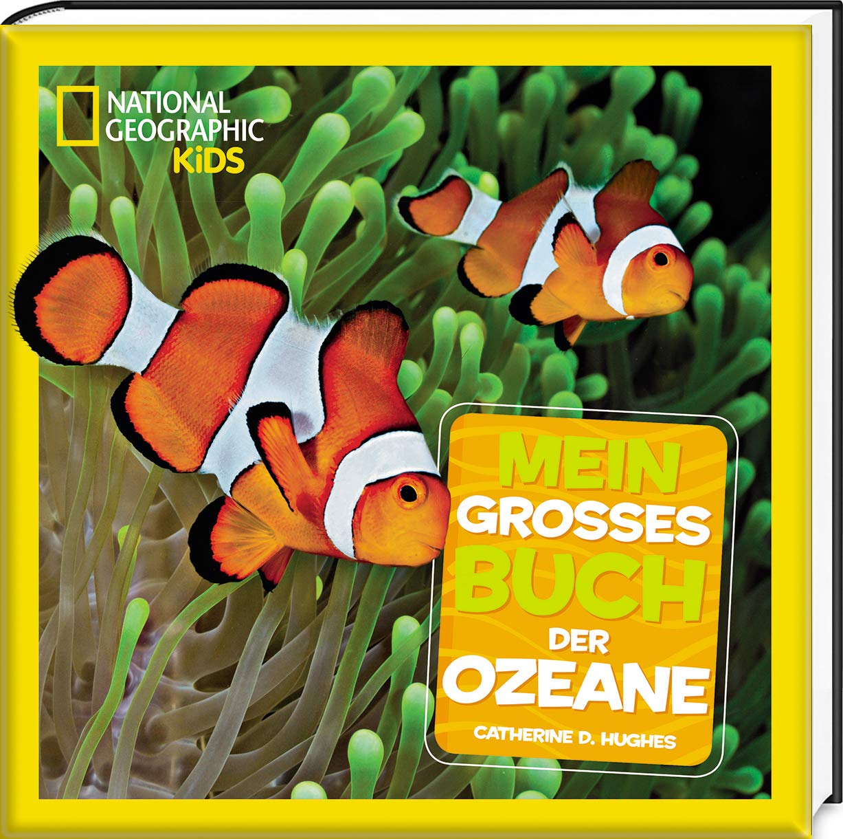Mein großes Buch der Ozeane: National Geographic Kids Non-fiction