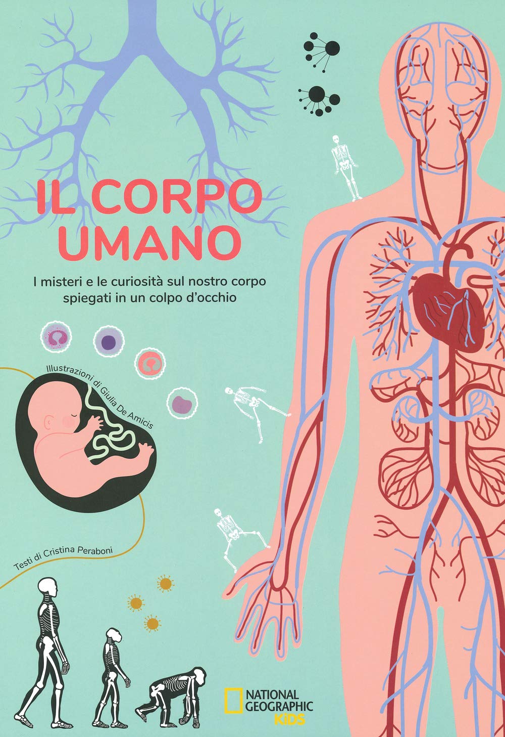 Il corpo umano. I misteri e le curiosità sul nostro corpo spiegati in un colpo d'occhio book