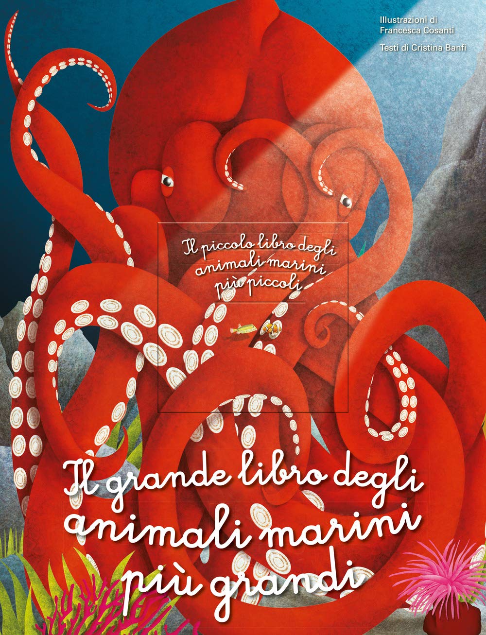 Il grande libro degli animali marini più grandi. Il piccolo libro degli animali marini più piccoli. Ediz. a colori book