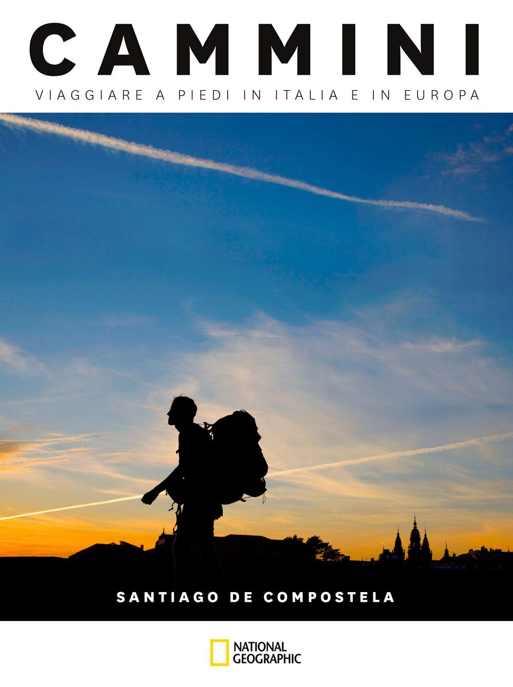 Santiago de Compostela. Cammini, viaggiare a piedi in Italia e in Europa book
