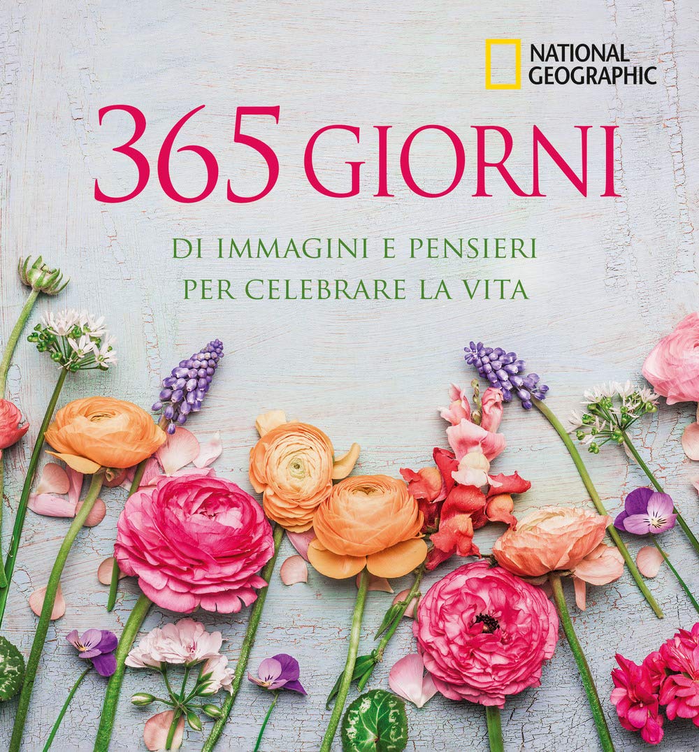 365 giorni di immagini e pensieri per celebrare la vita. Ediz. illustrata Contemporary literature