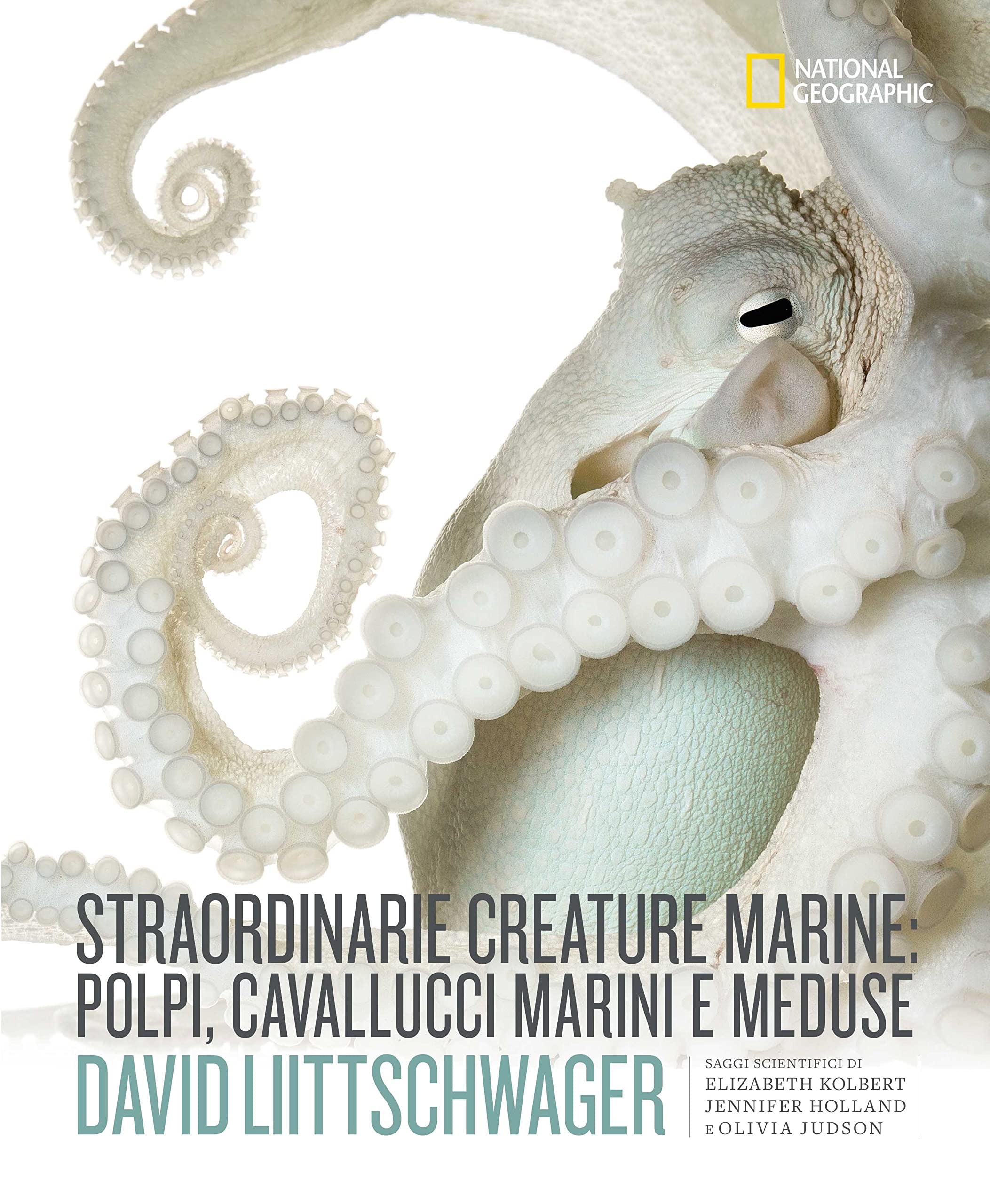 Straordinarie creature marine: polpi, cavallucci marini e meduse. Ediz. a colori (I grandi libri di National Geographic) Leisure, Home & Garden