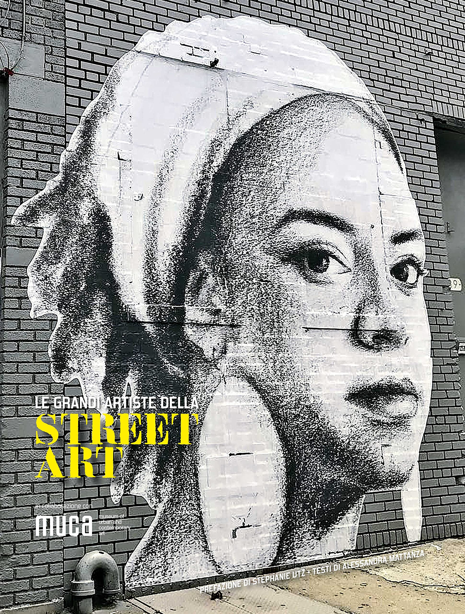 Le grandi artiste della street art. Ediz. a colori book