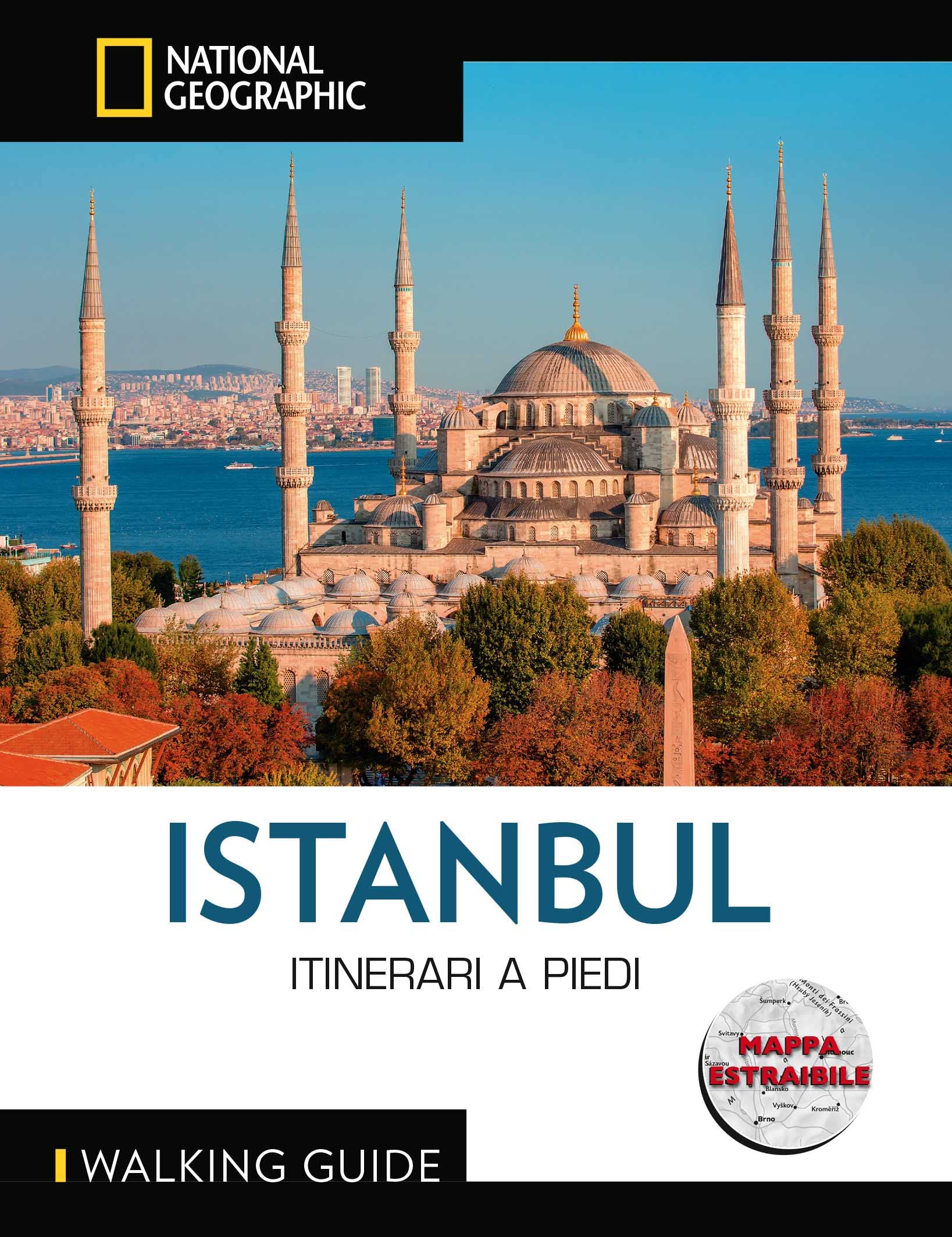 Istanbul. Itinerari a piedi. Con mappa estraibile book