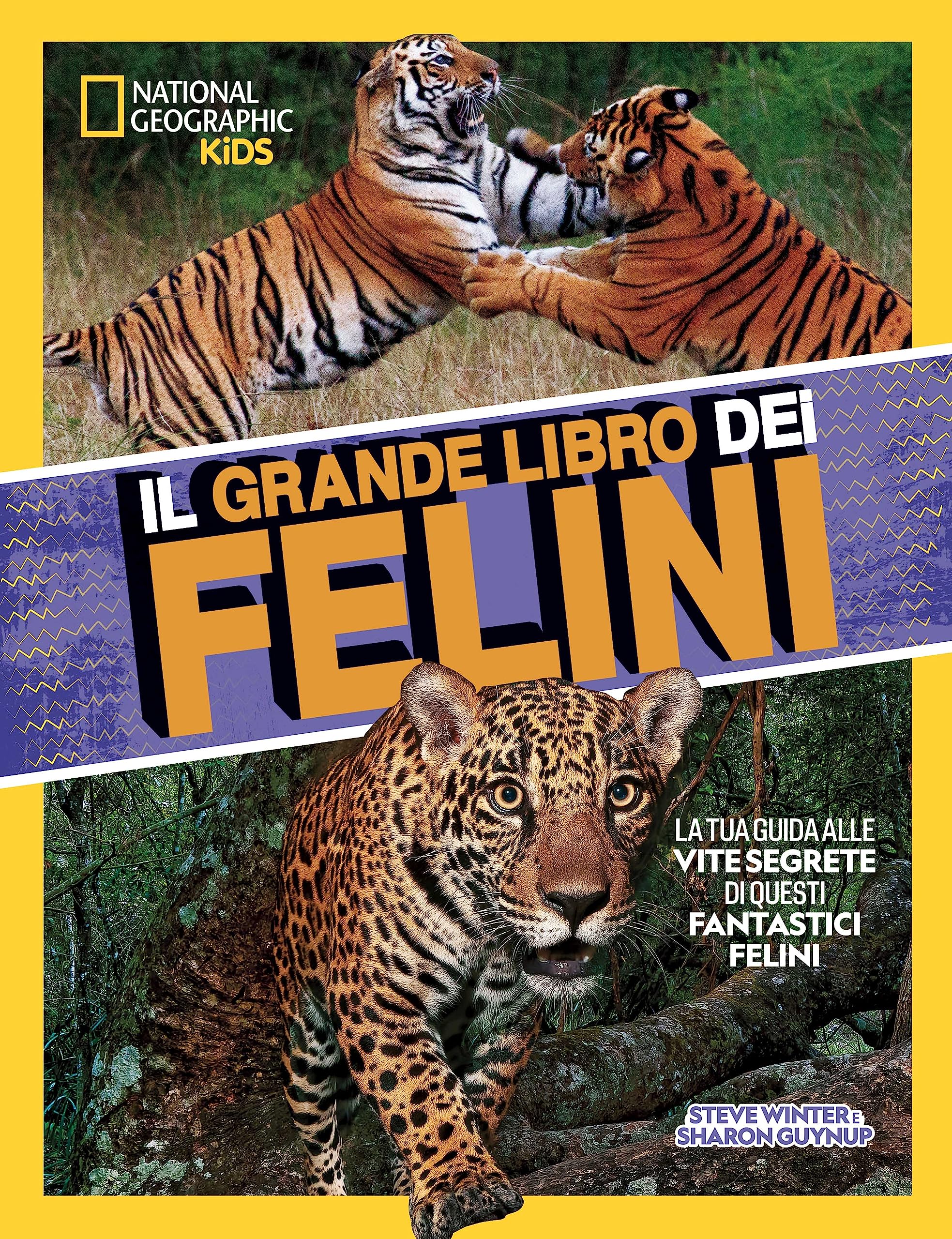 Il grande libro dei felini. Ediz. a colori book