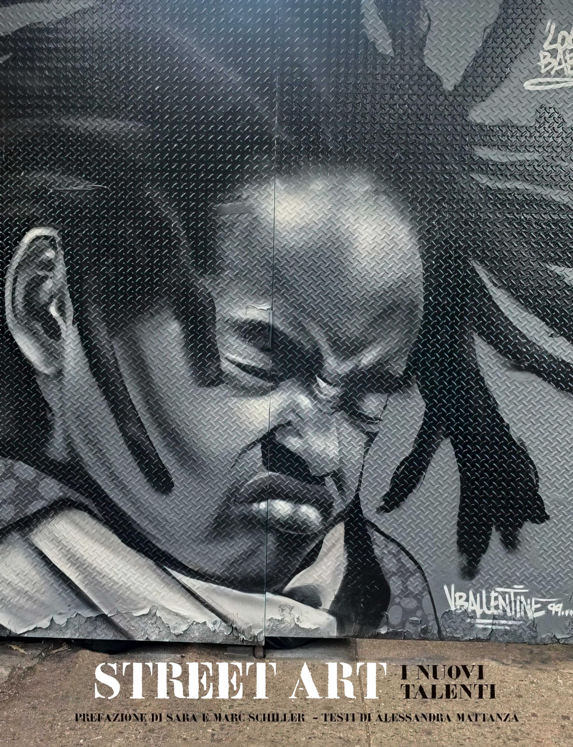 Street art. I nuovi talenti. Ediz. illustrata book