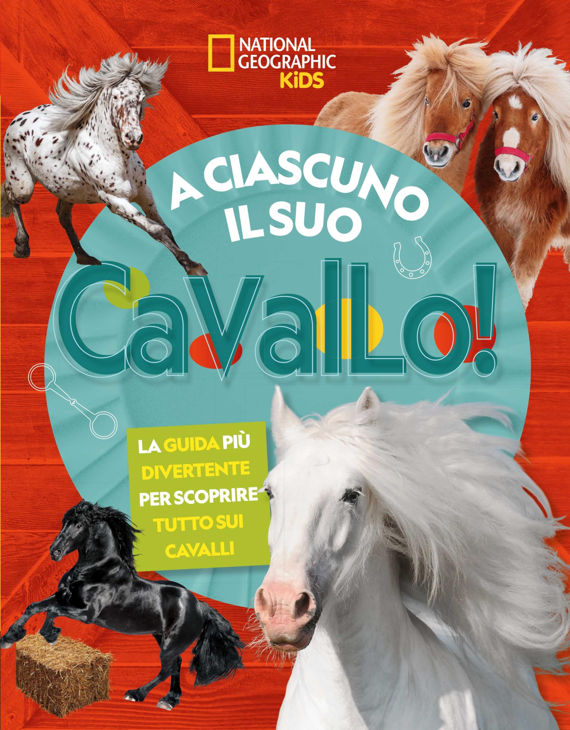A ciascuno il suo cavallo! La guida più divertente per scoprire tutto sui cavalli Non-fiction