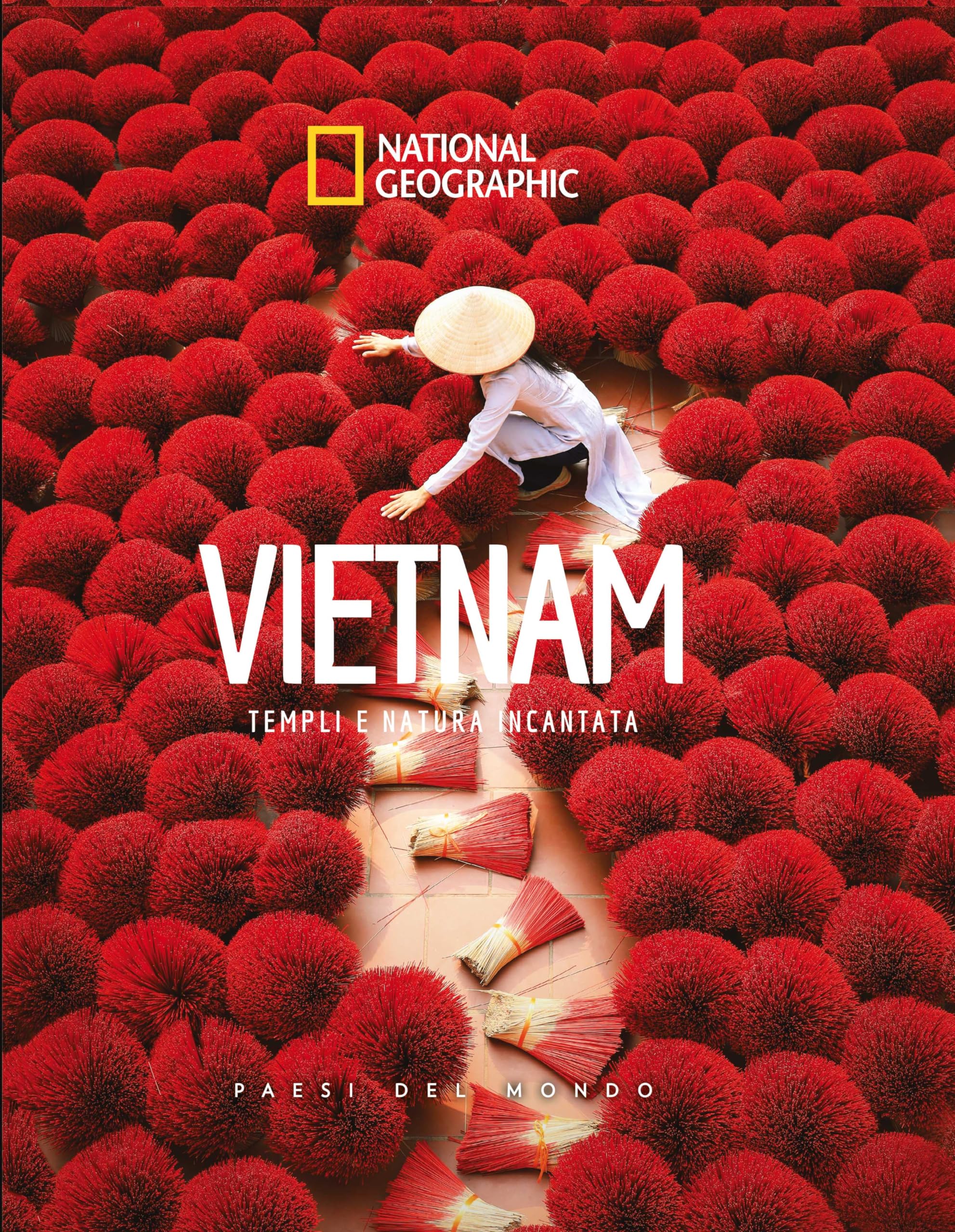 Vietnam. Templi e natura incantata. Paesi del mondo book
