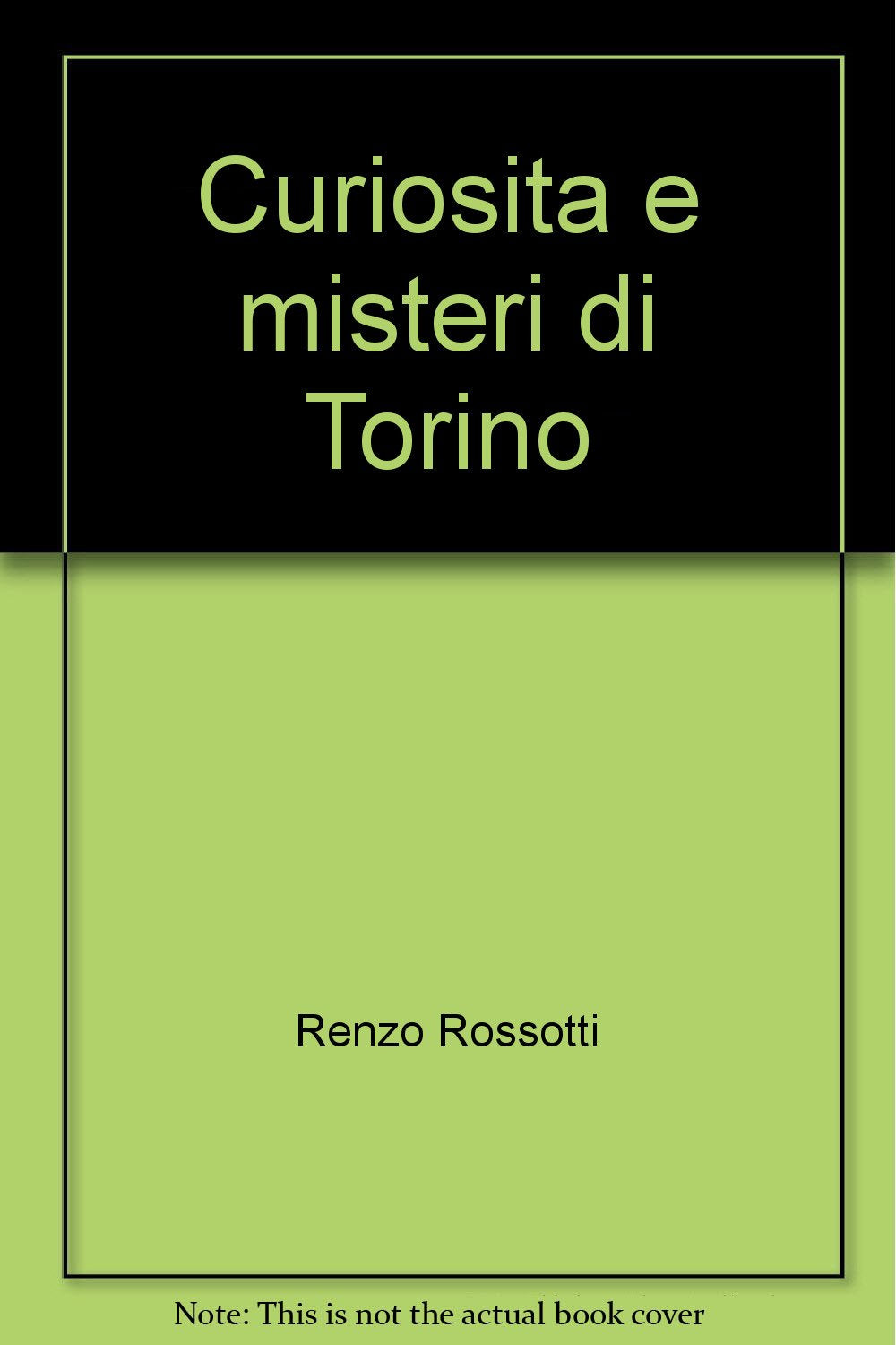 Curiosità e misteri di Torino book