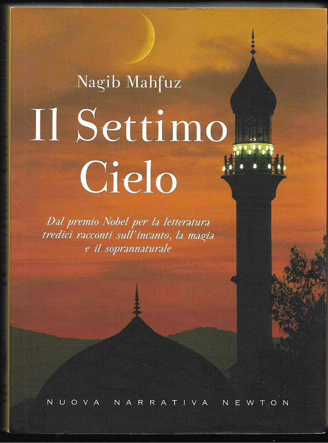 Il settimo cielo (Nuova narrativa Newton) Essays & Short Stories