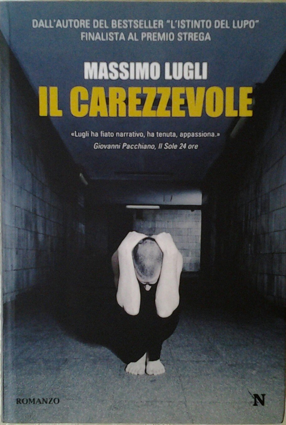 Il carezzevole (Nuova narrativa Newton) Contemporary literature
