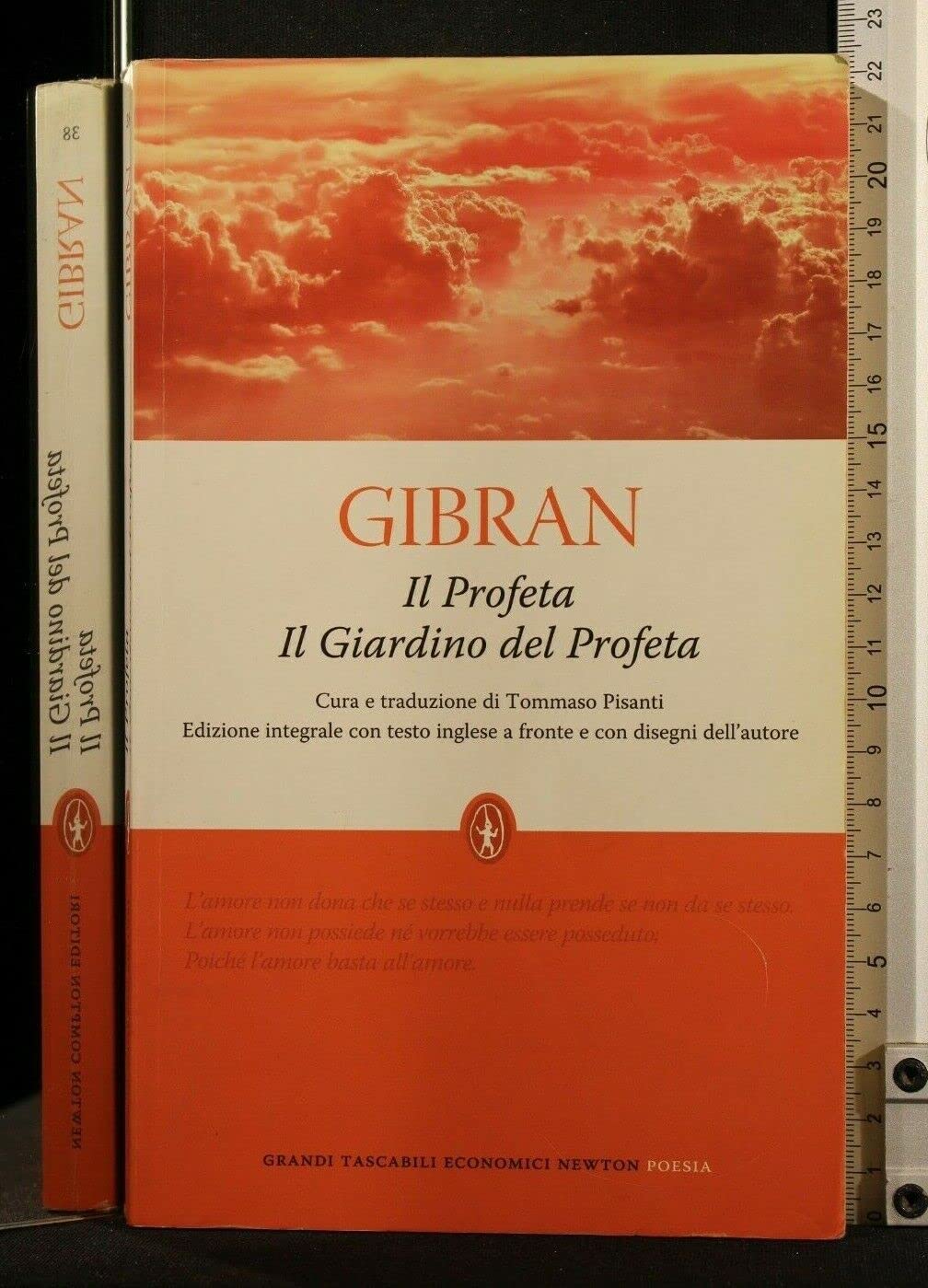 Il profeta-Il giardino del profeta. Con disegni dell'autore. Testo inglese a fronte. Ediz. integrale (Grandi tascabili economici) Philosophy