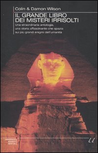 Il grande libro dei misteri irrisolti. Una straordinaria antologia, una storia affascinante che spazia sui più grandi enigmi dell'umanità (Universale Storica Newton) Religion & Esotericism