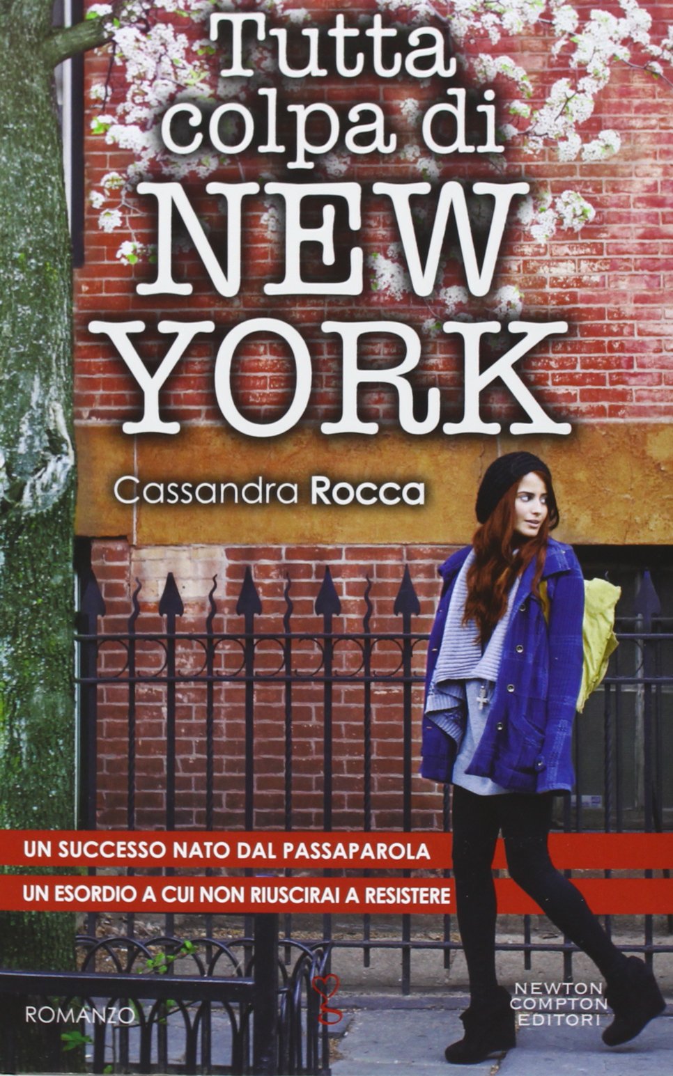 Tutta colpa di New York book