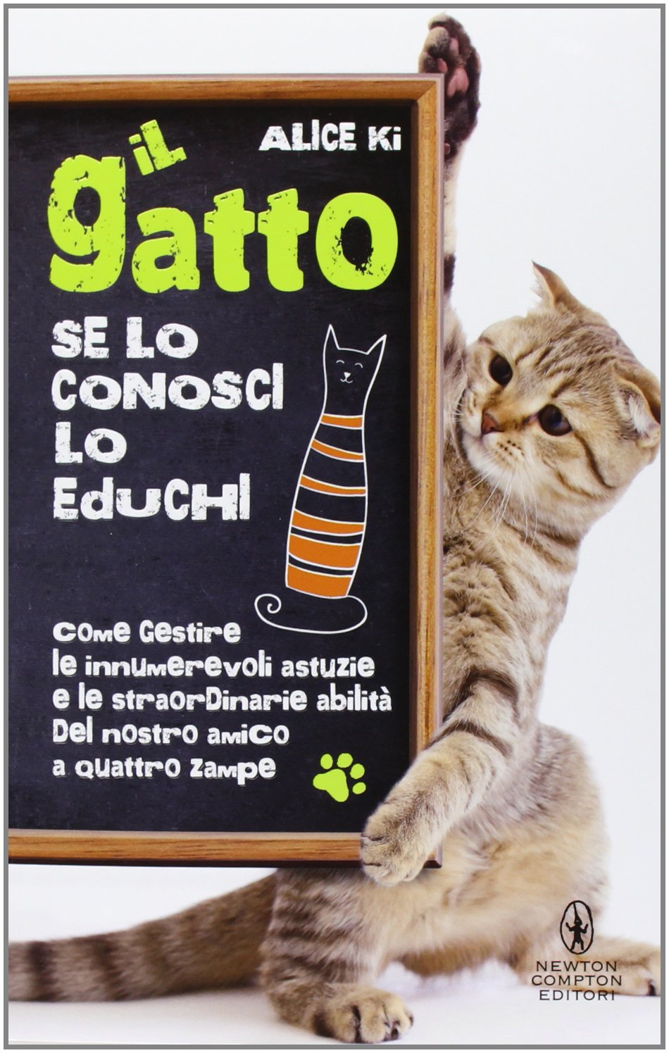 Il gatto. Se lo conosci lo educhi book