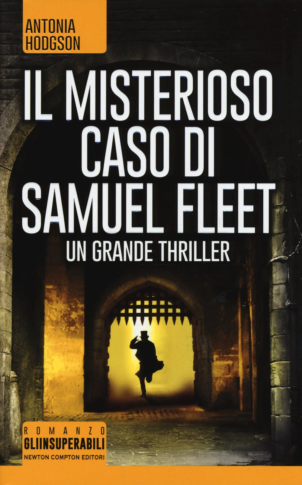 Il misterioso caso di Samuel Fleet book