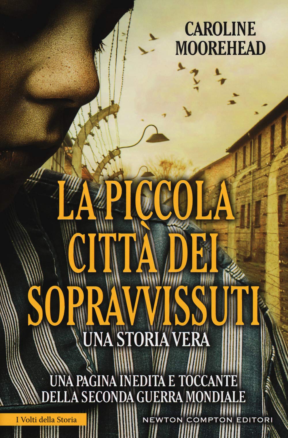 La piccola città dei sopravvissuti book