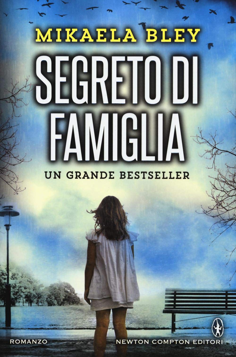 Segreto di famiglia (Nuova narrativa Newton) Contemporary literature