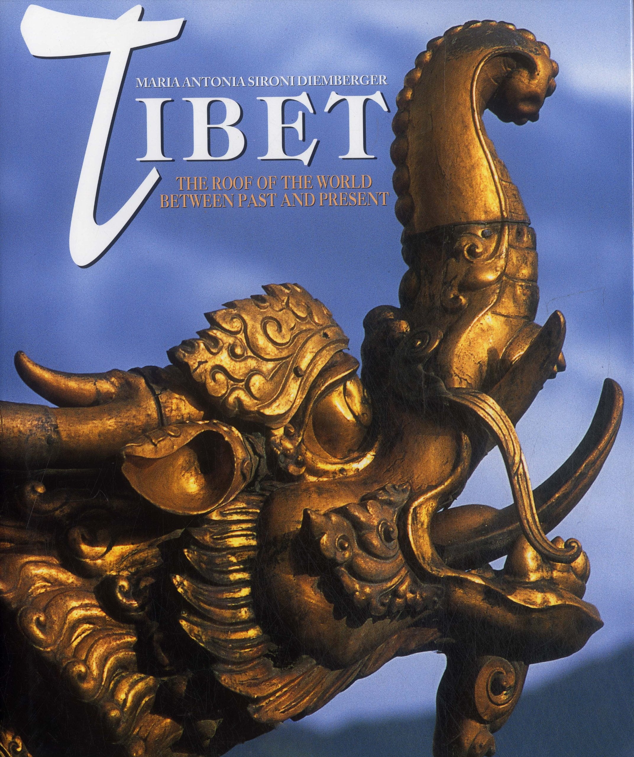 Tibet: The Roof Of The World Between Past And Present book