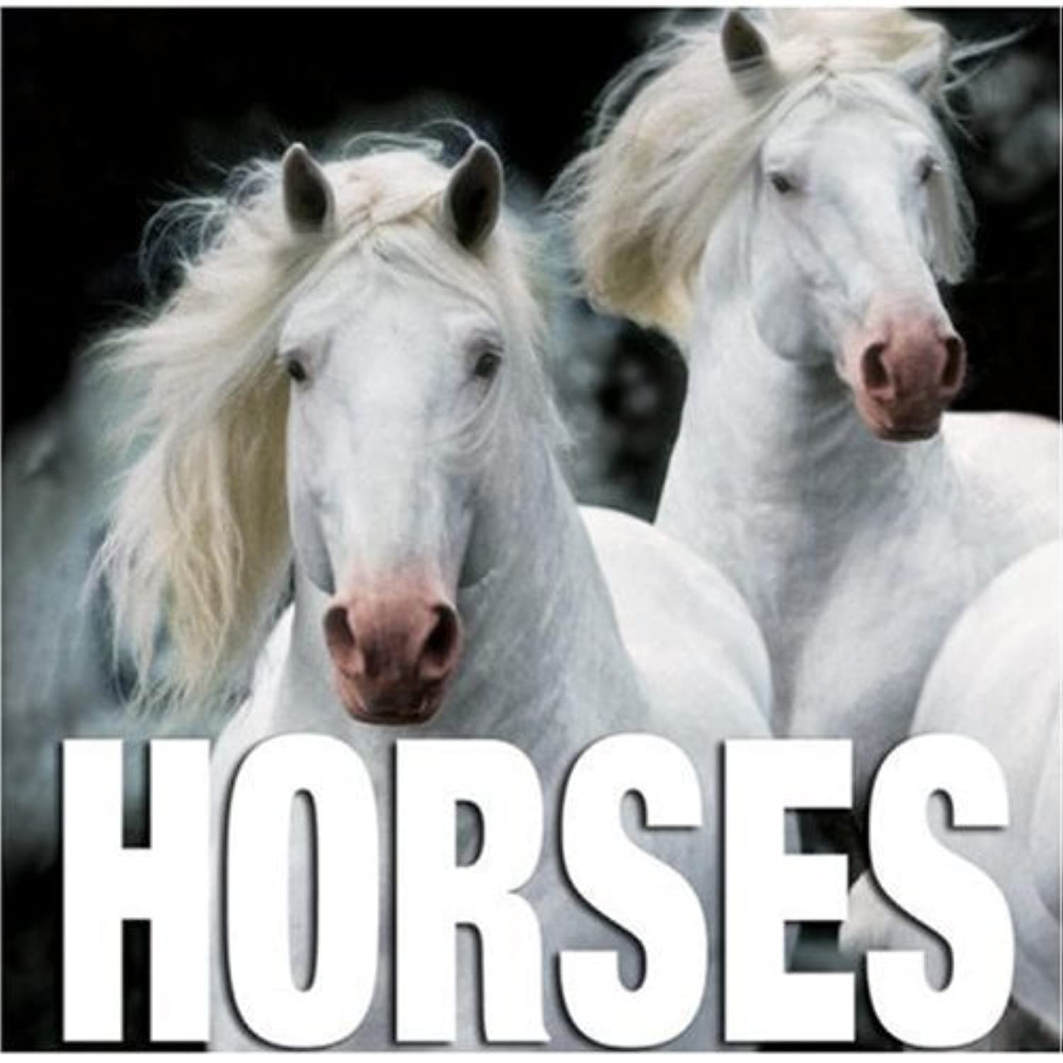 Horses Cube Book: Cubebook series Mathematics