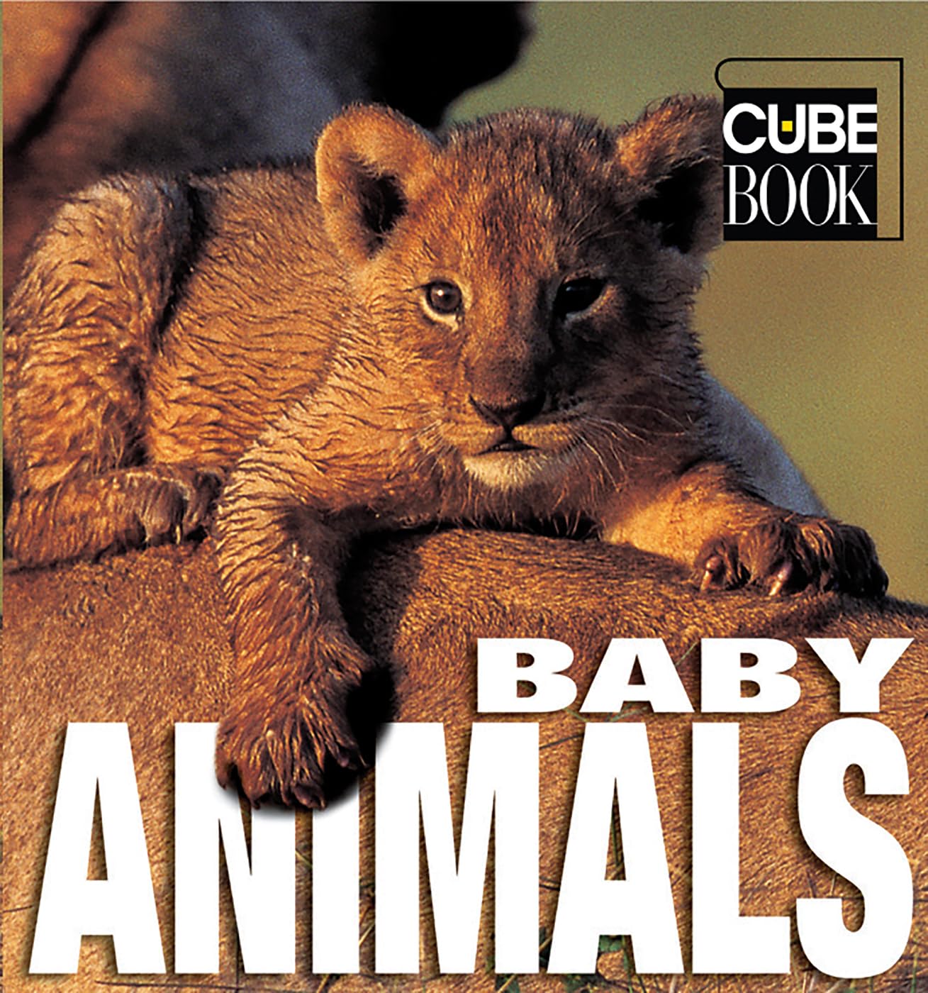 Baby Animals (Minicube) Mathematics