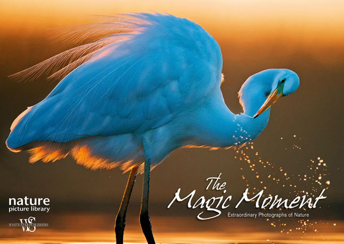 The Magic Moment: Extraordinary Photographs of Nature book