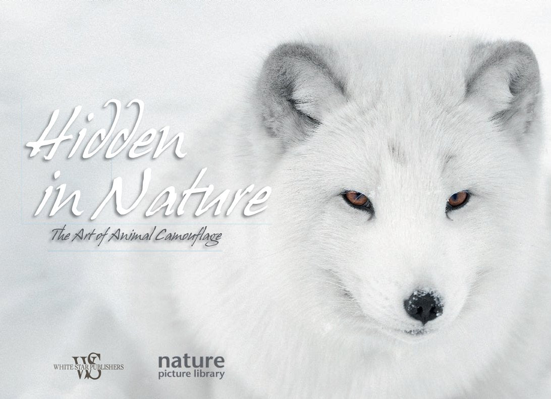 Hidden in Nature: Art of Animal Camouflage Mathematics