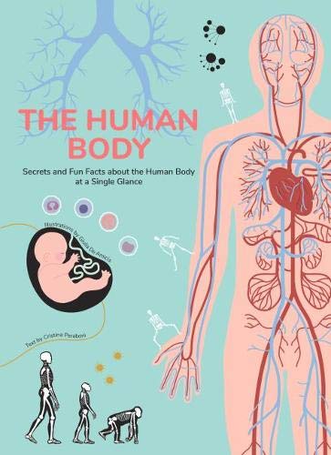 Human Body: Secrets and Fun Facts About the Human Body at a Single Glance Non-fiction