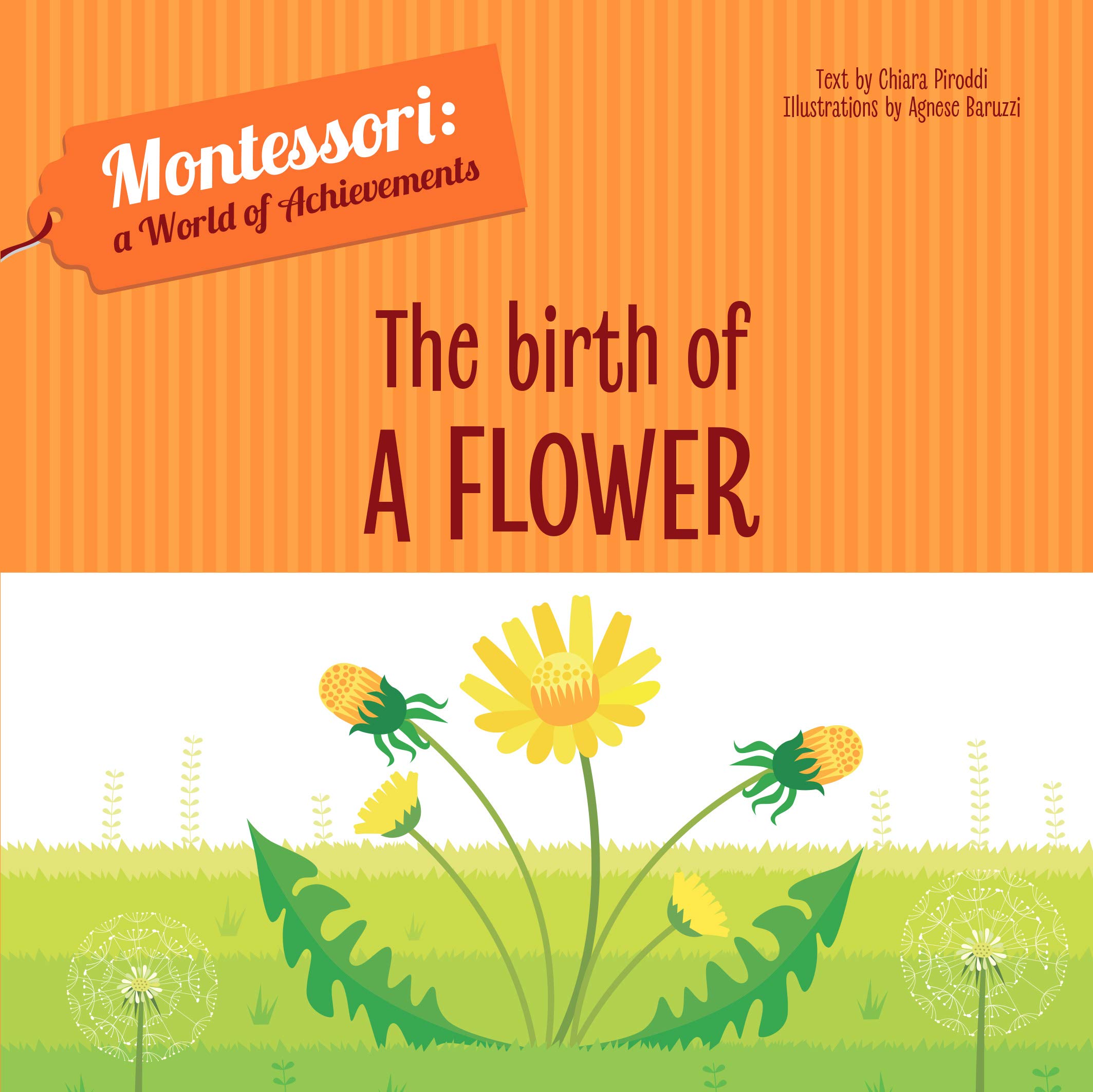 The Birth of a Flower: Montessori: A World of Achievements book