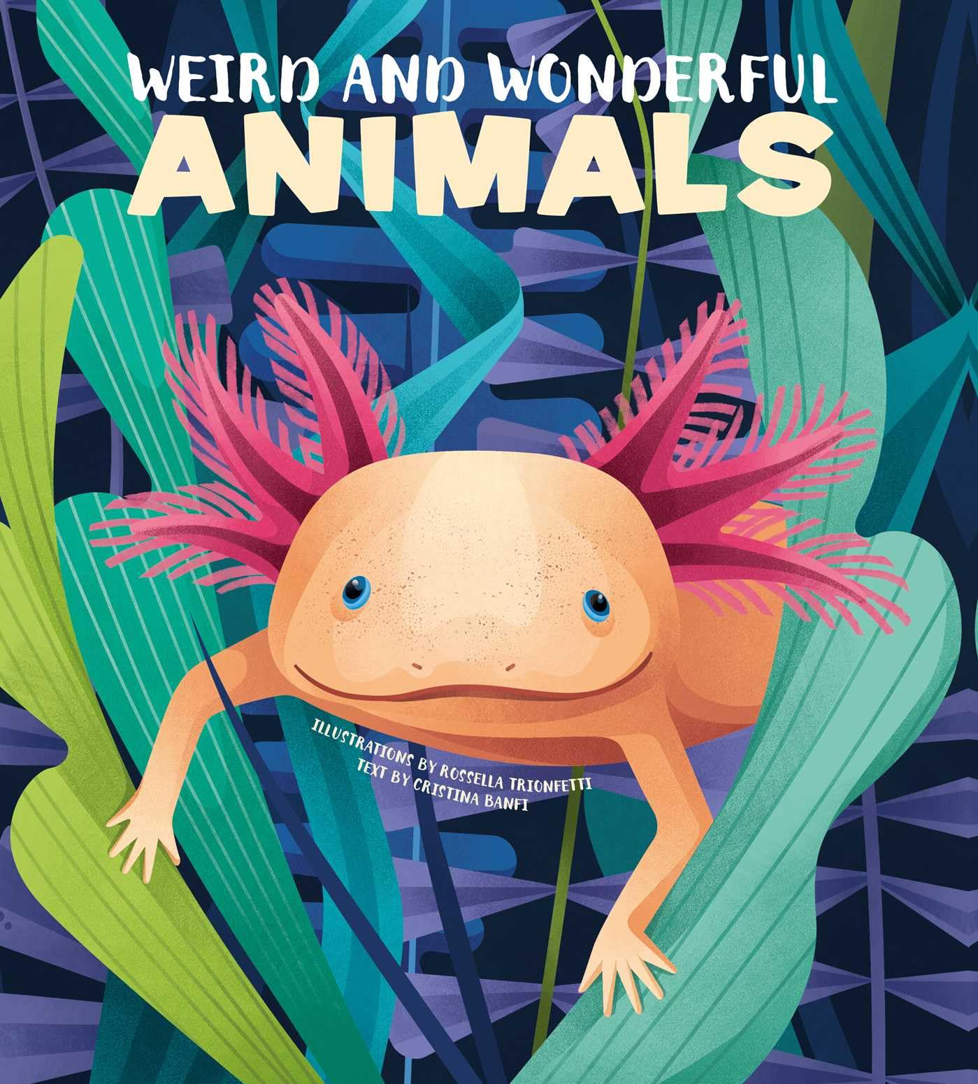 Weird and Wonderful Animals Non-fiction