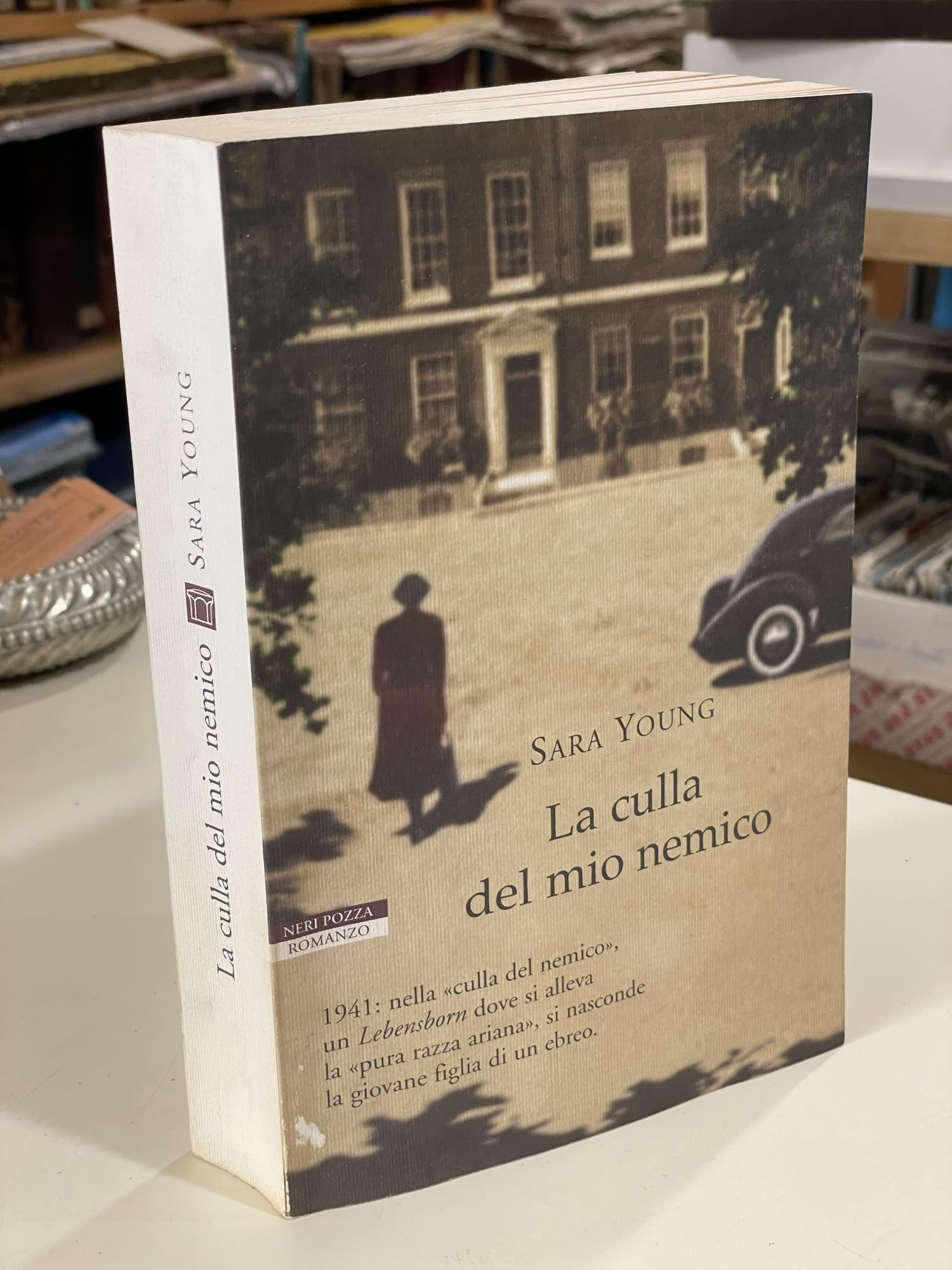 La culla del mio nemico (Le tavole d'oro) Historical Fiction