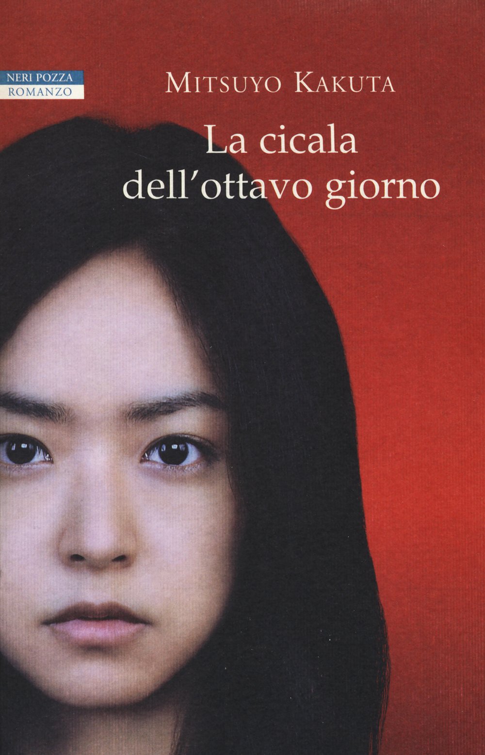 La cicala dell'ottavo giorno book