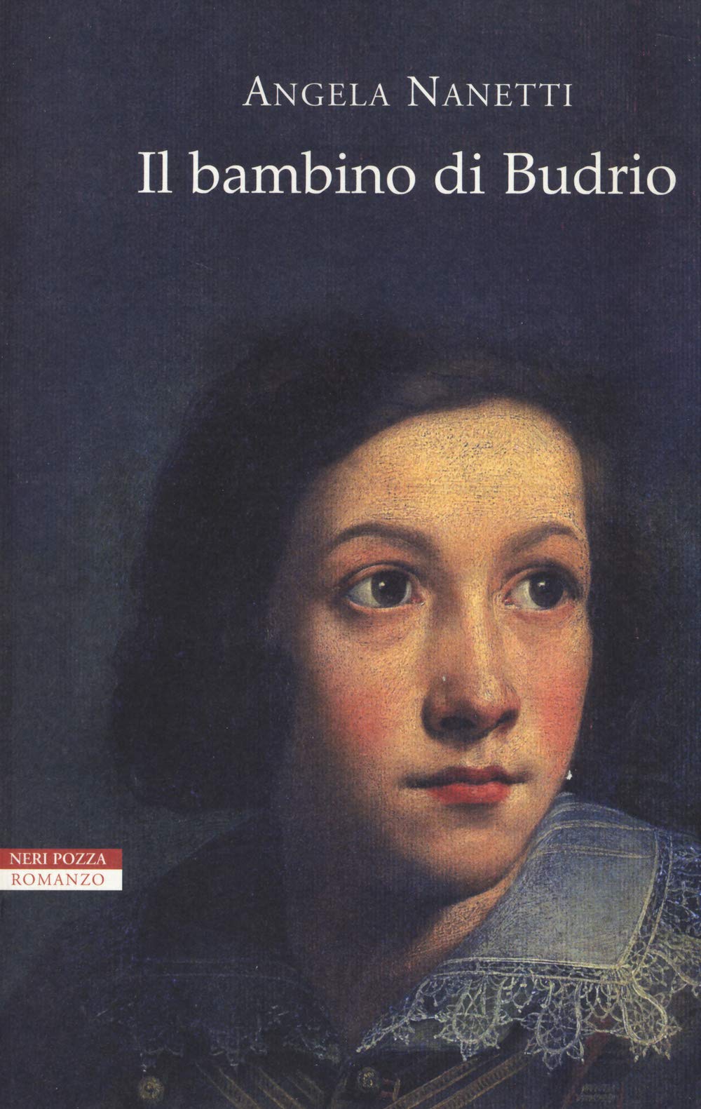 Il bambino di Budrio book