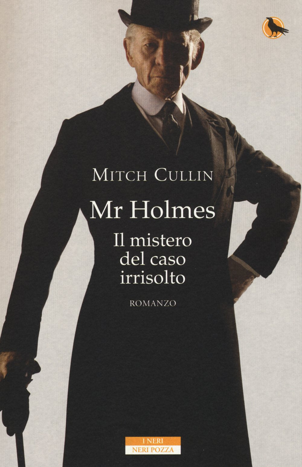 Mr Holmes. Il mistero del caso irrisolto book