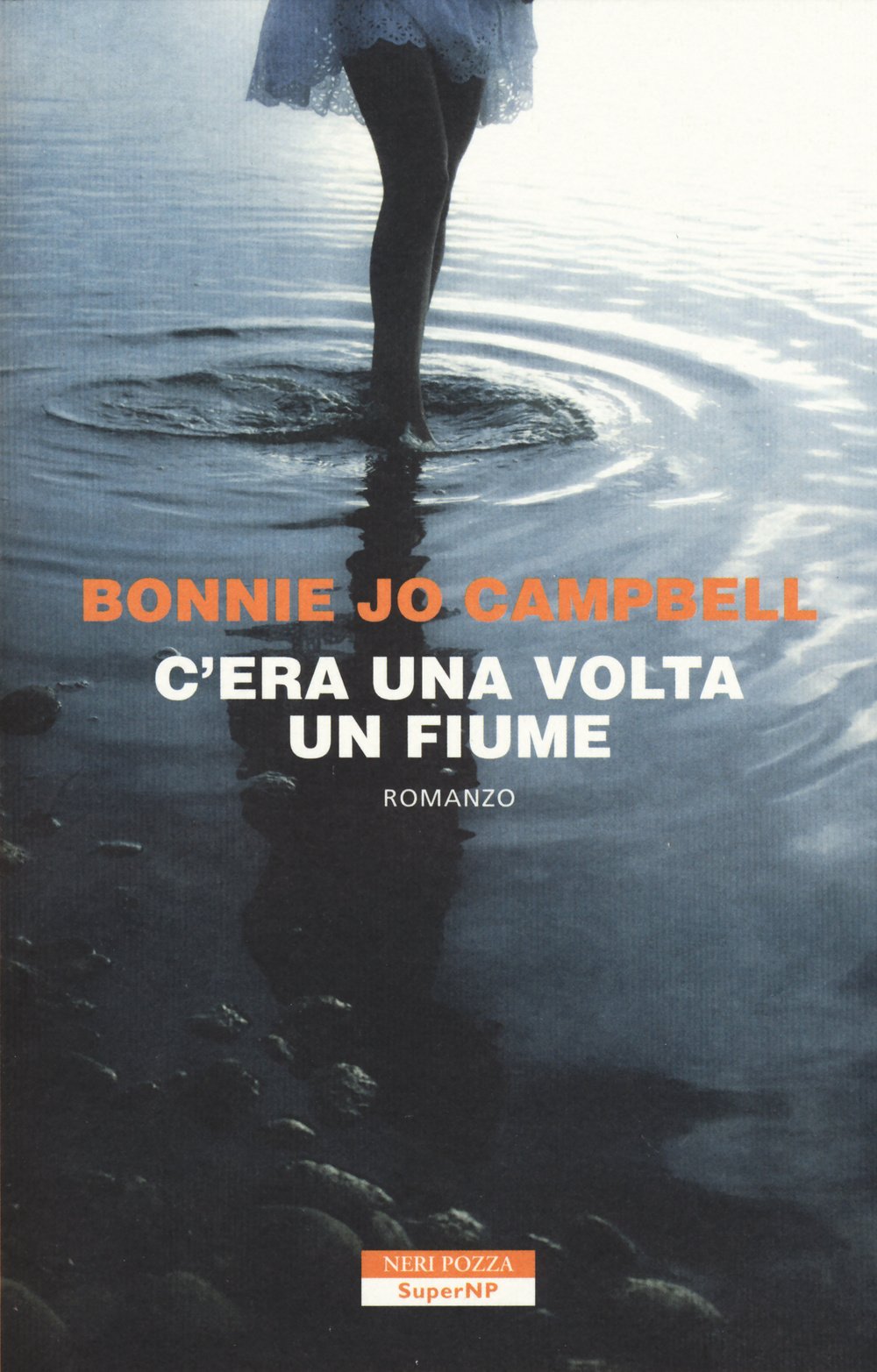 C'era una volta un fiume book