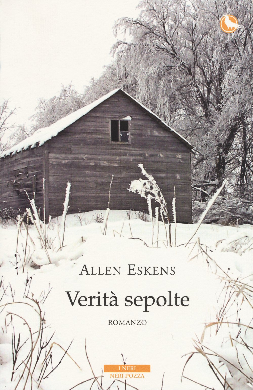 Verità sepolte book