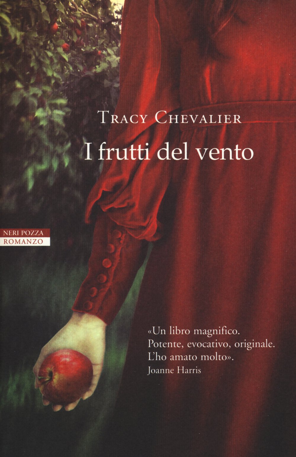 I frutti del vento (I narratori delle tavole) Historical Fiction