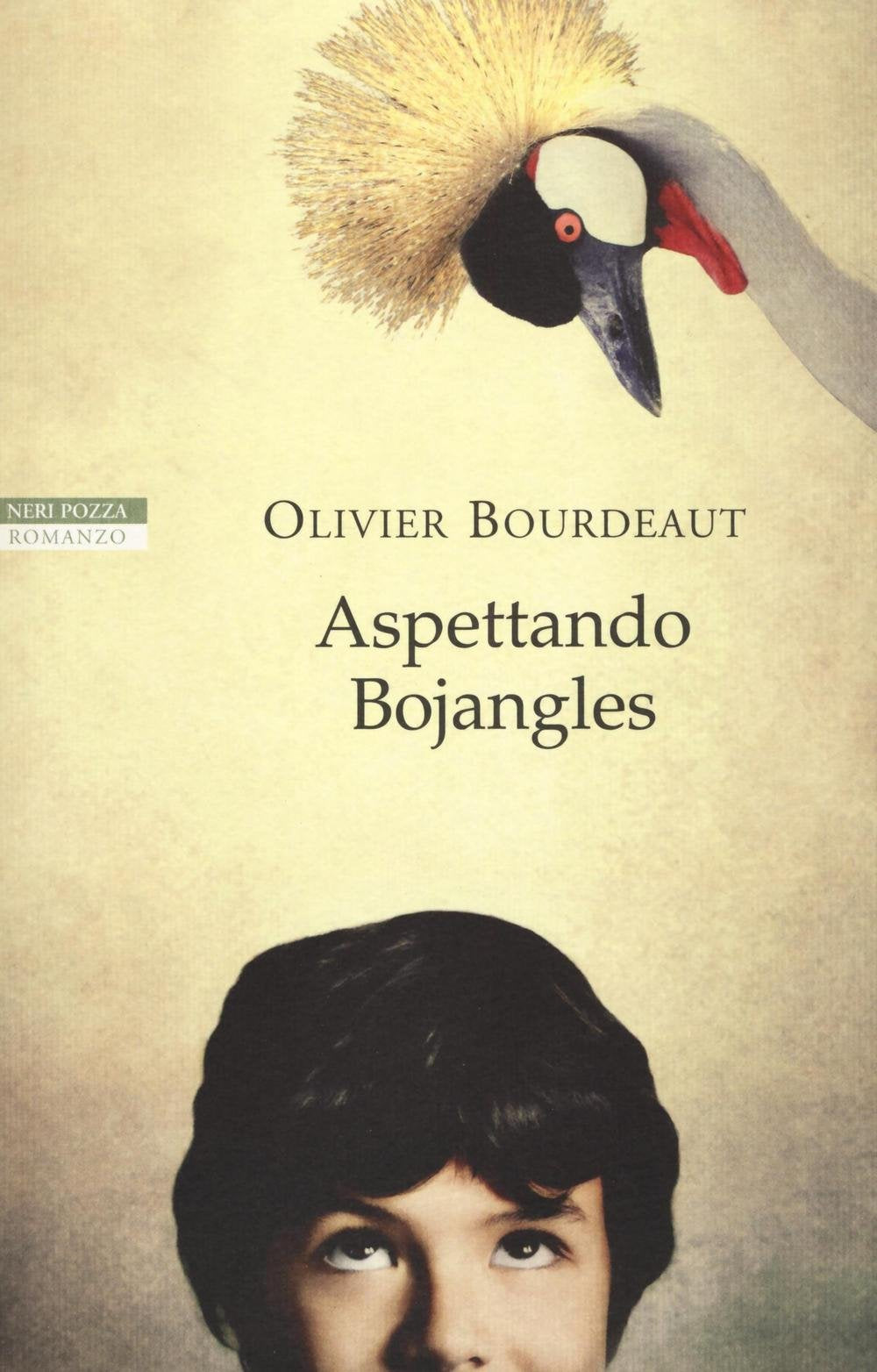 Aspettando Bojangles (I narratori delle tavole) Contemporary literature