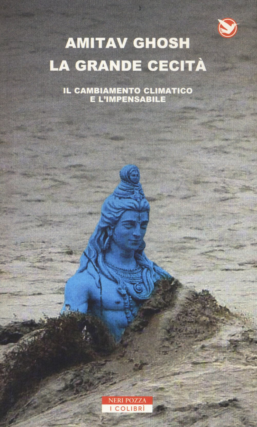 La grande cecità. Il cambiamento climatico e l'impensabile (I colibrì) Essays & Short Stories