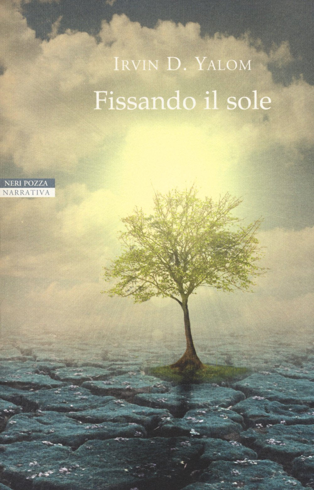 Product Image: Fissando il sole