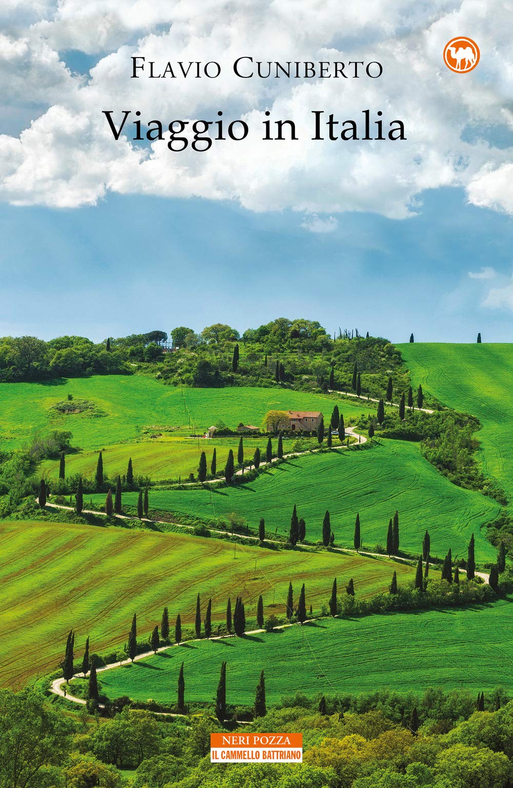 Viaggio in Italia (Il cammello battriano) Leisure, Home & Garden