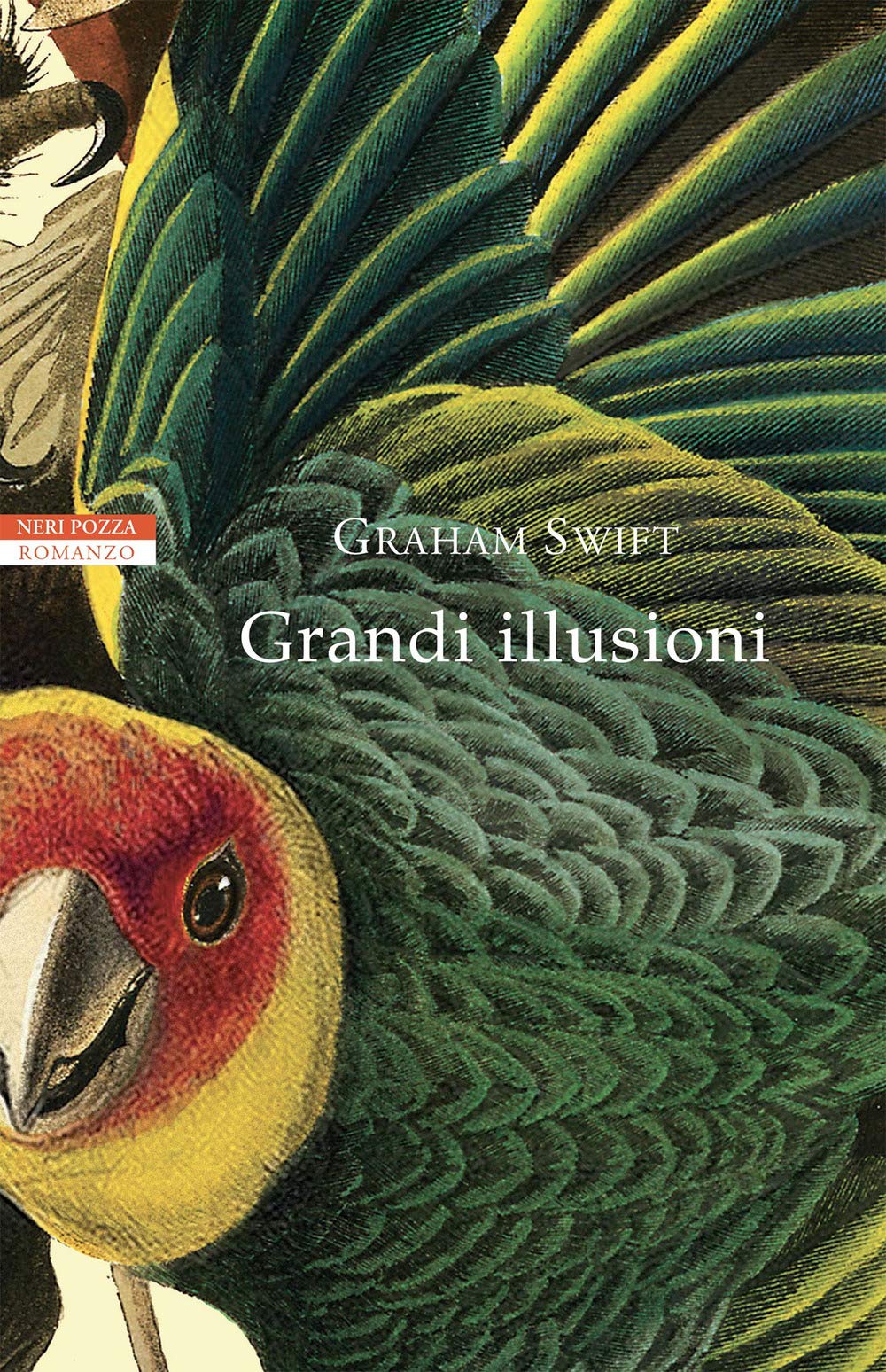 Grandi illusioni Contemporary literature Books