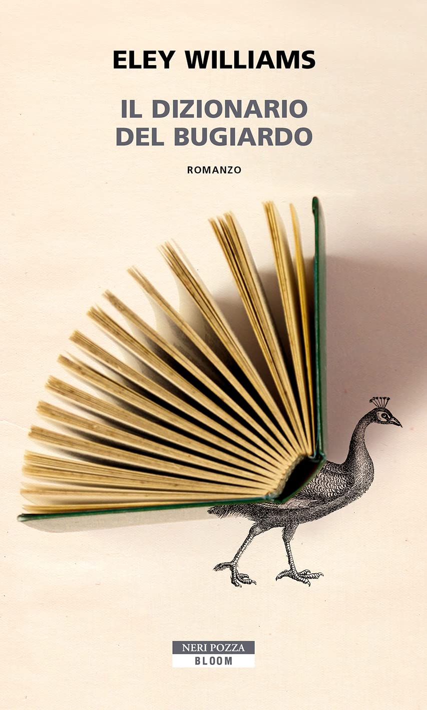 Product Image: Il dizionario del bugiardo