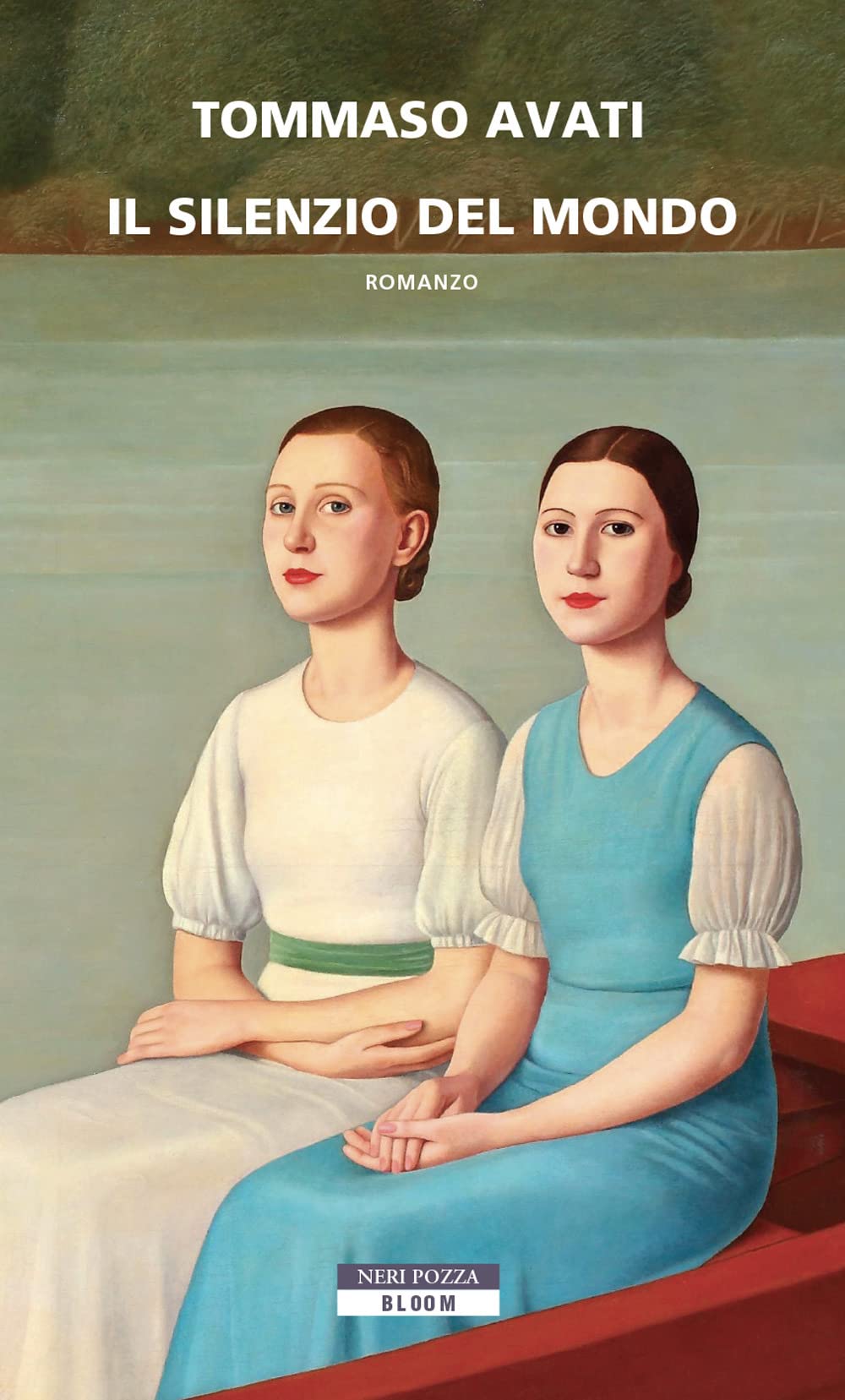 Il silenzio del mondo book