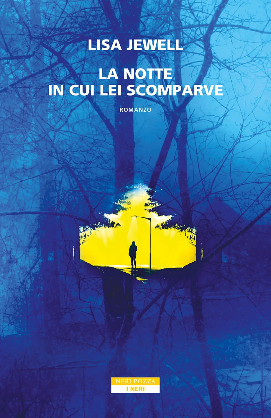 La notte in cui lei scomparve book