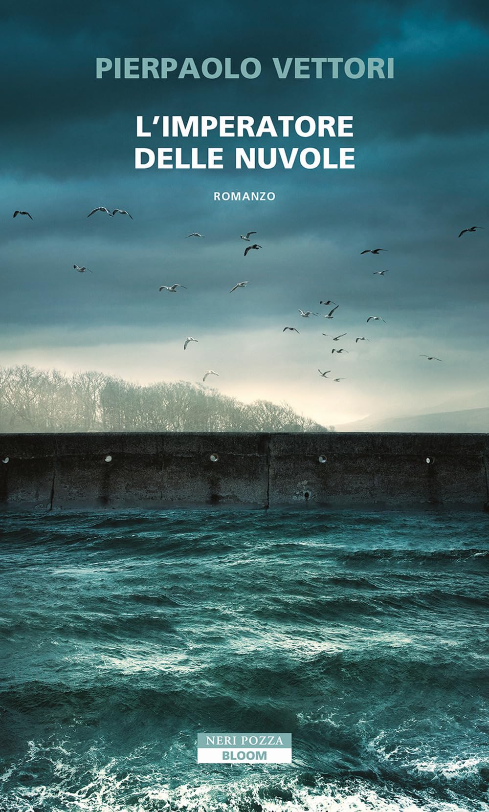 L' imperatore delle nuvole book